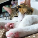 残り少なくなったマヨ