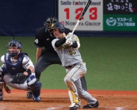 阪神の“仕事人”山本　猛打賞&1四球で4出塁　宮城対策での移籍後初1番起用に応えた