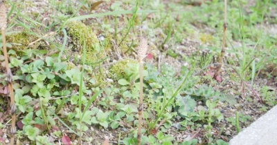 君といた未来のために I Ll Be Back やりたい事がみつからないなら消去法でみつけるのもありだと思う