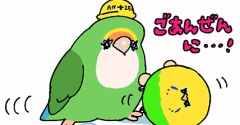 本日おやすみ🦜‼️