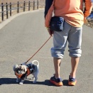 ドギーズアイランド写真まとめ