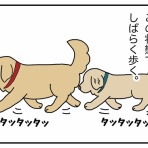 リンマンブルース　ゴールデンレトリバーの生態とマンガ