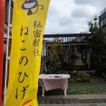 昨日は秘密結社ねこのひげ子猫祭り後半戦譲渡会♪