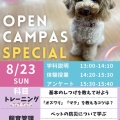 ��8�󥪡��ץ󥭥��ѥ��Τ��Τ餻🌟