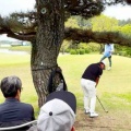クラウンズ、史上最年少記録での予選通過‼️