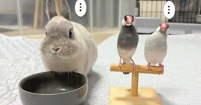 自己紹介をお願いします