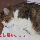 伸び―