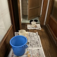 買い足し ストック 必需のもの ／ 介護