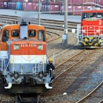 ＤＤパラダイスプレゼンツ Ｄ-ＲＨＡＰＳＯＤＹ☆