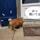 変態になってしまった