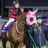 『【移籍馬情報】ホッカイドウ競馬・2歳移籍馬情報～その4・東海（愛知・笠松）編～』の画像