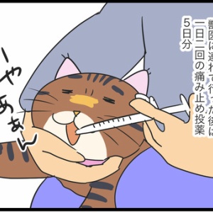 ねこちゃんがいなくなった14 : 蓼食う虫もテキサス Powered by 