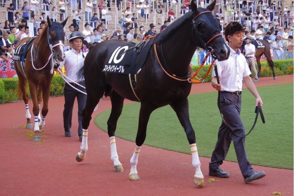 馬なり男爵の馬バカ日誌 高野友和厩舎
