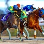 BOSS猿のアナログ肉眼競馬