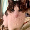 きこりのテレビ日記　＃291