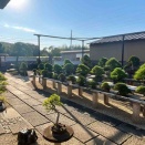 富士の玄関・山懐の名園！椎野宝樹園❗️