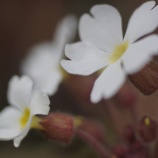 『未来の経験を用意する人生の見直し会』の画像