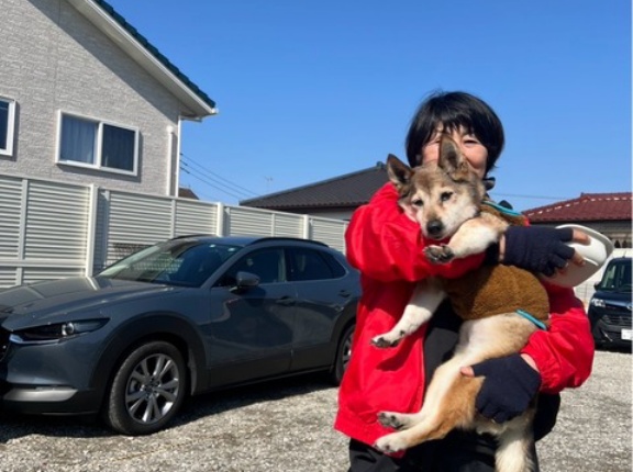 今日は晴天、シェルターブルー🩵の空