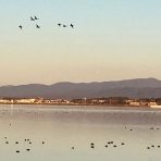 湖畔の宿 森本　時季折々～tokioriori～