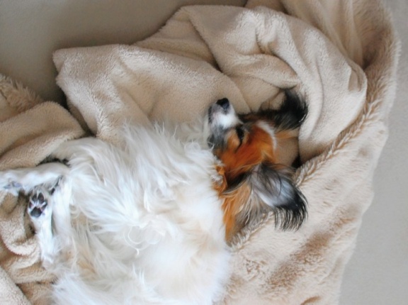 【50代主婦ブログ】雨の日の過ごし方