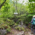 夏山低山が始まる前に。　――　二上山