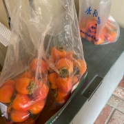 枝付に娘さんの想い