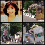 チャイなエンタメにゃーGO