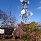 表参道登山口から弥彦山　　