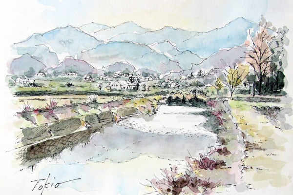 シニアから始めた透明水彩画 - 2025年02月 