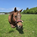 『気持ち良さそう』の画像
