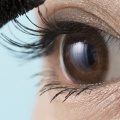 意外と知らない！まつげダニが引き起こす目のトラブルと対処法
