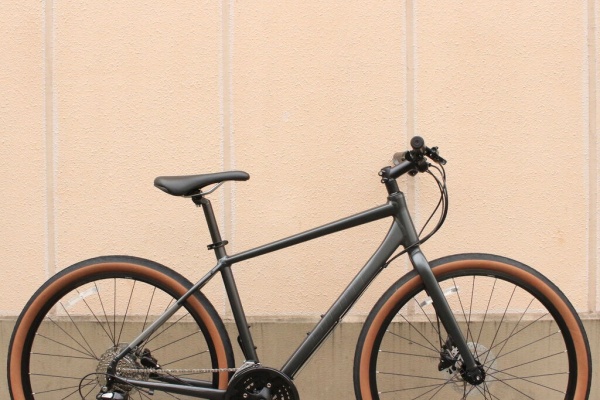 レア Giant lifeway 折り畳み自転車 ジャイアント レア Giant lifeway