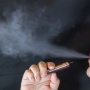 中学生のヤンキー「警察に電子タバコを取り上げられた！返してもらうために警察署に行くわ！」 → 逮捕