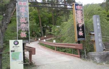 『2014/4/29 　金尾山　つつじ』の画像