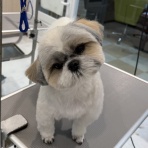 三重県 ペットショップワンラブ カインズ明和店のスタッフブログ