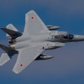航空自衛隊 第305飛行隊 F-15J