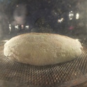 ̼���ؤ����Ĥ�����ư��