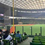 うるおいフルーティ再開