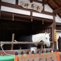 新年のご挨拶