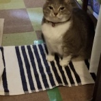 FIRE　夢だらけ夢まみれ