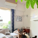 おうちごはんとおかしとねこ