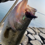 京都山科の釣具屋バスフィールド