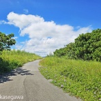 知床と八重山の風景
