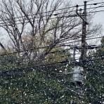 だいじろう日和。