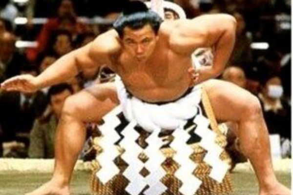 すもにゅ 千代の富士