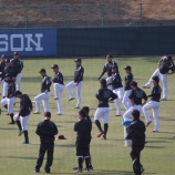『阪神はなぜ今頃和田豊監督解任をリークしたのか|2015NPB』の画像