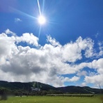 埼玉県立浦和工業高校 ラグビー部