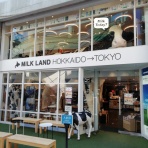 合気道月光流道場長・チョコ助と伊東健治の公式ブログ　「骸(むくろ)をつけていま一戦(ひといくさ)せん！！」