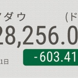 『【悲報】インバ組大歓喜！コロナショックでNYダウ暴落、日経平均も道連れで世界大恐慌へ。』の画像