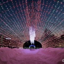 雪に埋もれたイルミネーション